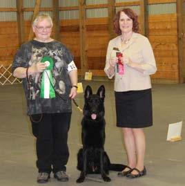 Oakhaven Xena of Black Forest and Lindenhills Eywa Black Forest v Gracelyne to recognize Julie Swinland s committent to German Shepherd dogs. I like their loyalty and intelligence.