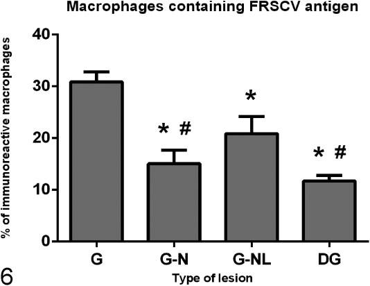 1184 Veterinary Pathology 53(6) Figure 6. Percentage of macrophages with immunoreactive ferret systemic coronavirus antigen for each granuloma category.