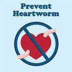 It s almost spring! Time to check for heartworm disease! Schedule your pet s yearly checkup today! It s March springtime is around the corner! Worms in your garden and worms in your pet? Eeew!