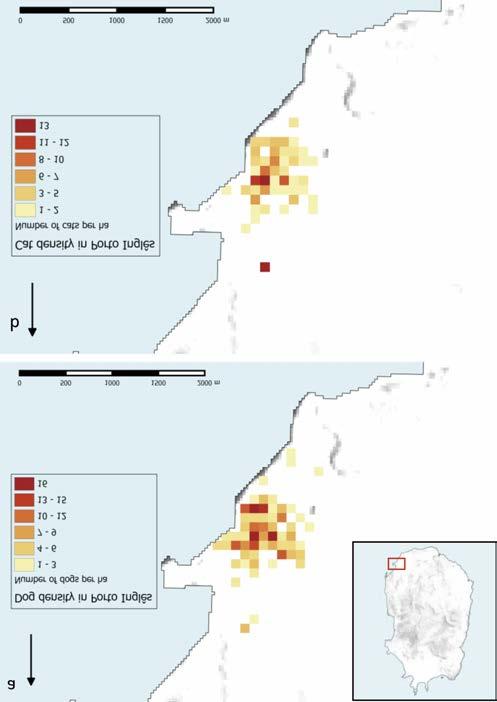 Spatial analysis Figure 1 represents dog and cat density distributions in Porto Inglês. The correlation between dog-house and cat-house densities increased with the spatial aggregation from 0.58 (P<0.