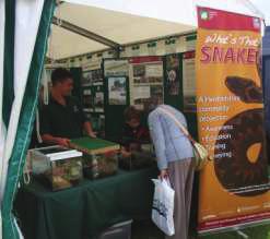 road show stand at Herefordshire Country Fair, Sellack Aug 2009 The general public were attracted to the What s That Snake? stand at events by the eye catching adder banner and interpretation boards.
