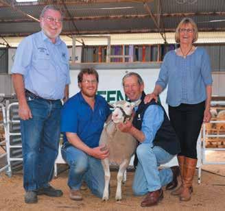 The three ewes we purchased were the three best in the catalogue for their LEQ EBV, Phil Clothier said.
