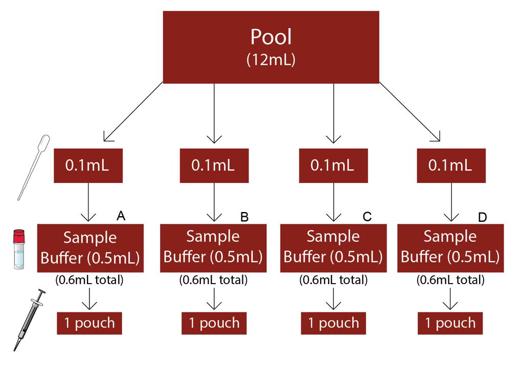Figure 1. Simple protocol workflow. Each sample pool has enough material to assess day-to-day and user-to-user variability. Workflow can be repeated for each sample pool until all testing is complete.