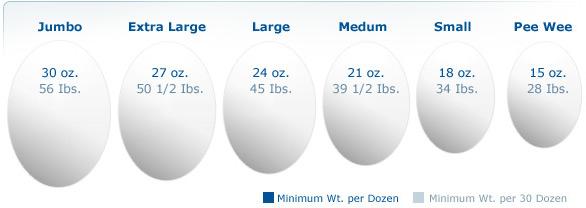 According to USDA guidelines, eggs are graded and labeled as AA, A, and B. U.S. Grade AA eggs are nearly perfect.