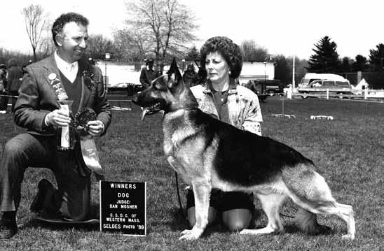 I continued to study bloodlines and after seeing the Arbywood Kennel F litter; I purchased a Fortune son who became Ch. Doppelt-Tay s Jerry.