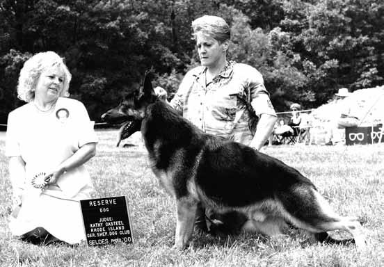 wonderful club members from the GSDC of Western PA and Northern NJ GSDC, who are gone now. These dog people truly educated themselves on the breed, something that is hard to find now.