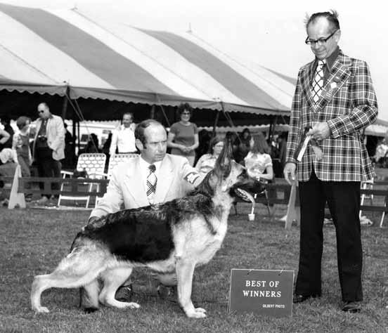 What other breeders do you think had a successful line with limited breeding? Art and Helen Hess, Hessian kennels had beautiful movers. They did not stay in the breed long term.