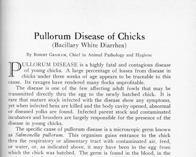 Pullorum Disease of Chicks (Bacillary White Diarrhea) By ROBERT GRAHAM, Chief in Animal Pathology and Hygiene PULLORUM DISEASE is a highly fatal and contagious disease of young chicks.
