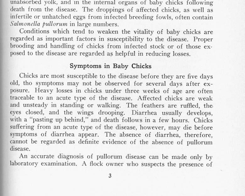 The disease is one of the few affecting adult fowls that may be transmitted directly thru the egg to the newly hatched chick.