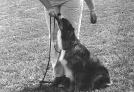 With your dog at your left side, hold the leash in your right hand 2 feet from the snap. Hold a treat in your right hand between your thumb and forefinger. Hold the StarMark Clicker in your left hand.
