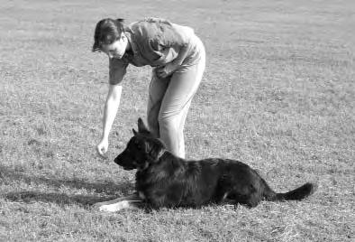 Dog Training Made Easy- A Step-by-Step Guide to Using the StarMark Clicker 3. Repeat. Gradually delay the click and reward to mark longer periods of the Down stay Down position for 5 seconds. 6.