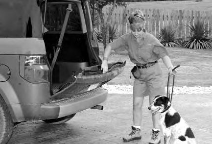 Training Exercises: Wait to Load TEACHING WAIT TO LOAD: The purpose of this exercise is to teach your dog to get in and out of your vehicle peacefully and only with your permission. 1.