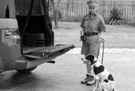 Watch your dog as you do so. 4. Wait 5 seconds, then click and release your dog. Encourage him to "Load." Reward him once he is in the vehicle. 5. With your dog in the vehicle, close the door. 6.