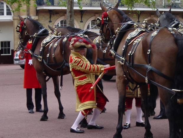 On the day of an important State occasion the Royal Mews comes to life long before the rest of London is awake.