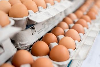 By the end of August 2017, contaminated eggs were also found across the globe including China and Hong Kong.