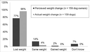 Although 96% of dogs lost weight, only 77% of dog owners perceived that a weight loss occurred, a relative difference of 25%.