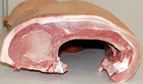 Pig carcase Stand back and have a good look from a distance at the group. Get a general impression of the carcases to judge, general appearance, type, etc.
