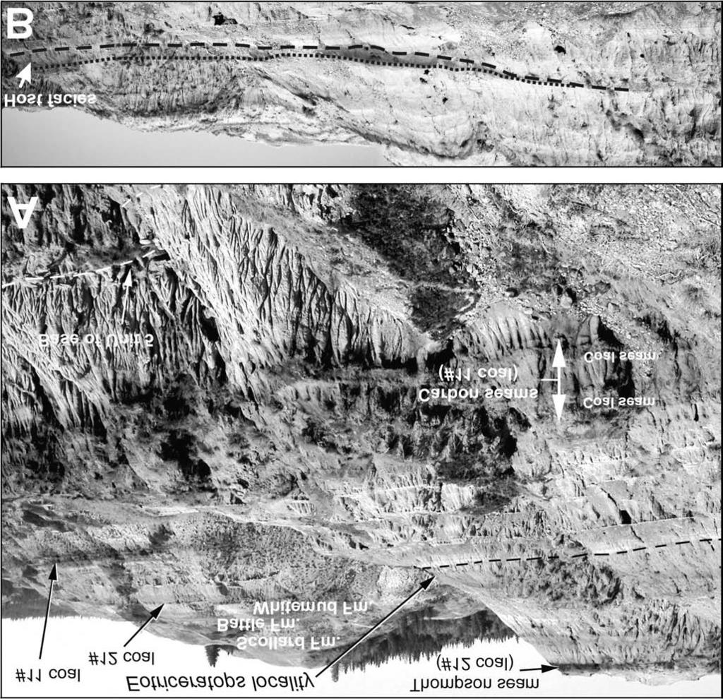 1248 Can. J. Earth Sci. Vol. 44, 2007 Fig. 4. Location, stratigraphic position, and facies association of Eotriceratops xerinsularis.