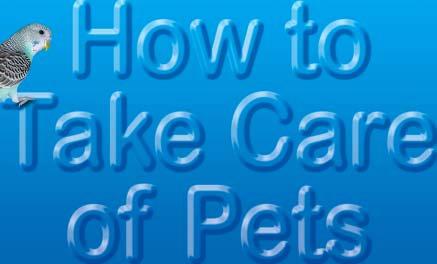 It provides basic information and practical common sense advice on pets and pet care.