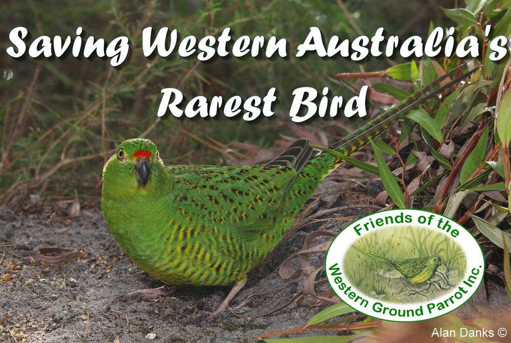 Welcome to the Friends of the Western Ground Parrot Newsletter No.