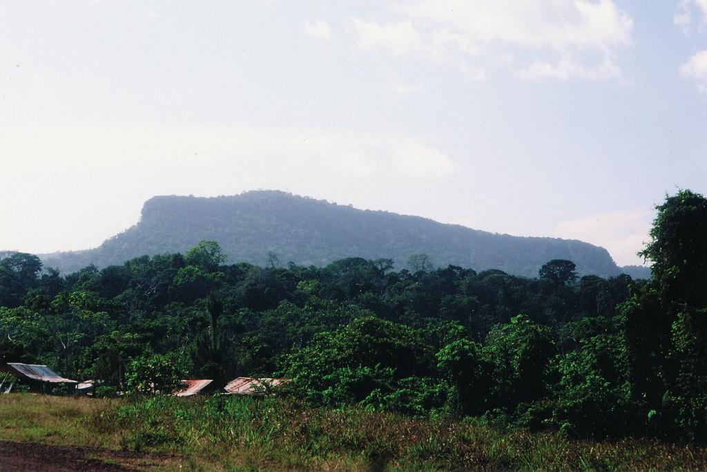 Ansicht des Cerro Santa Rosa vom Triunfo camp. Fig. 4.