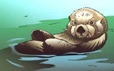 BEFORE IT GETS ANY HOTTER, HERE S WHAT YOU NEED TO KNOW ABOUT THE SEA OTTER. Sea otters use large stones to dislodge prey and to break open shells while they forage for food.