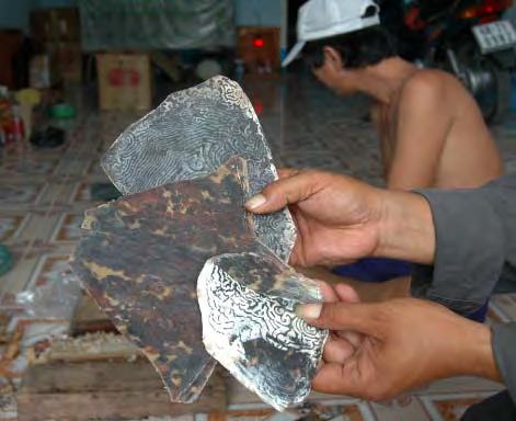 LEGAL POSITION OF TRADE IN MARINE TURTLE PRODUCTS There are a great many international conventions to which Viet Nam has acceded and even a greater number of government decrees and decisions that