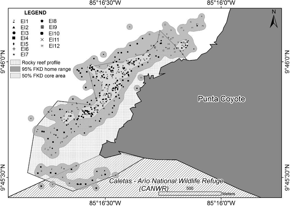 CARRIÓN-CORTEZ ET AL. Habitat Use and Diet of Juvenile Eastern Pacific Hawksbill Turtles 241 Figure 4. Sightings of 12 tracked hawksbill turtles at Punta Coyote.
