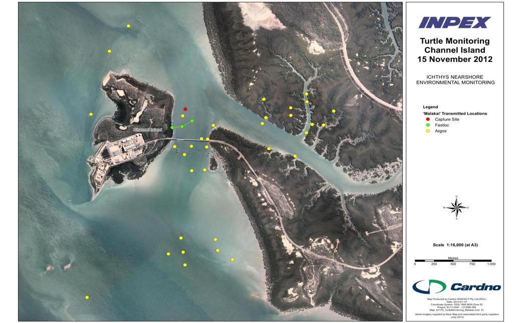 Routine Turtle and Dugong Monitoring Program Report Dredging Report 1 Figure 3-27 Transmitted geo-locations of tagged turtle since 15 November 2012.