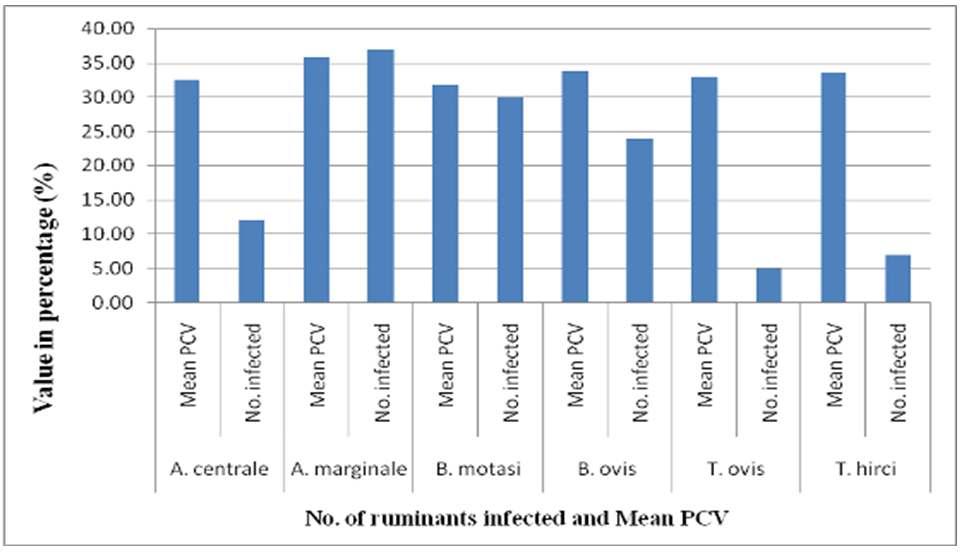 Fig. 2. Total percentage of infected animals according to their sex and age (in months) Fig. 3. Prevalence of haemoparasites according to the species of parasites and mean PCV Table 3.