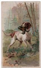Pointer Art The dog in the foreground is in an exact pose done by Gustav Muss-Arnolt in 1895 Here is the dog with the