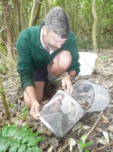 DOCDM-783609 Herpetofauna: funnel trapping v1.0 16 materials, but this may be offset by increased labour costs.