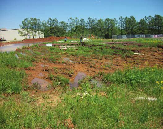 Ruts caused by construction equipment commonly breed mosquitoes.