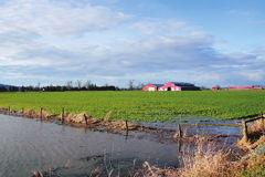 Standing Water on Agricultural Land If inquiries are received regarding how to address standing water on agricultural land,