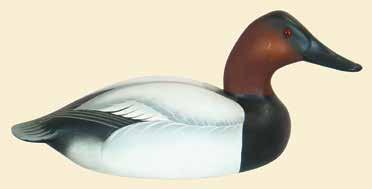 400-600 72. Early gunning canvasback pair by Charles Joiner. Nice wide bill with head turned very slightly to the right.