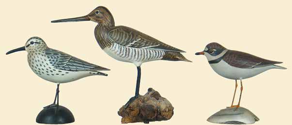 157, 158, 159 160, 161, 162 157. Dunlin in Fall plumage by James Lapham of Dennisport, Mass. Carved approximately ½ scale measuring 4 1/2 from breast to tail.