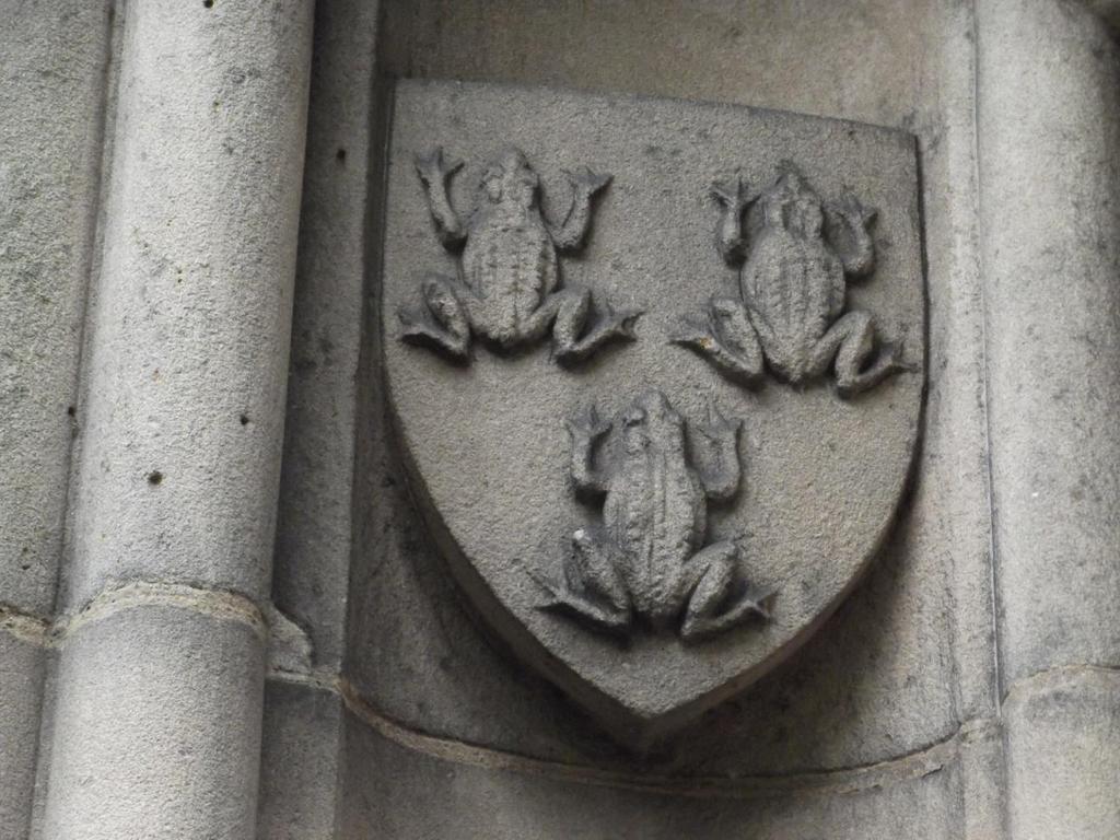 Three frogs/toads on St Helens