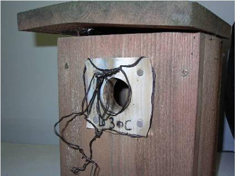 Video recordings The movement of feeding parent must be stopped by using a stop-and-go system made of iron wire Video camera is placed 2-3 m from the nest (inside a plastic shelter) note sun position