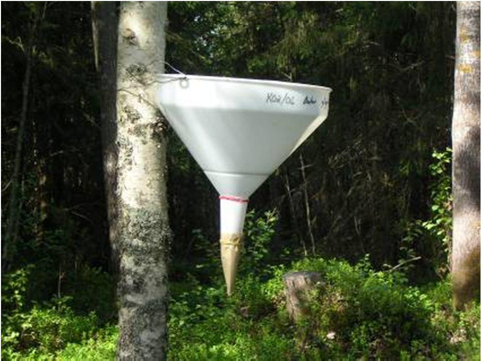 Frass fall -method Plastic funnels of certain size (area) are attached in tree trunks most on Birch Betula spp.