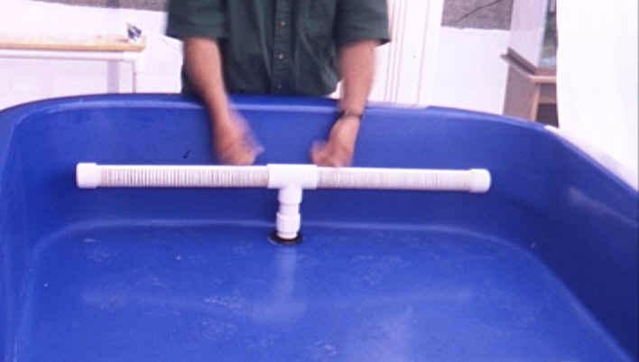 The Drain allows water from the Aquaponic Tray to return to the fish tank. a) Follow steps a through f in Section 6 for the Drain Bulkhead Assembly.