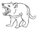 GRADE 1 Aussie Animals activity Instructions: Color the reptiles red, the birds blue,