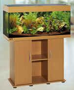 Modern Design with curved front glass which adds depth to the aquarium not seen