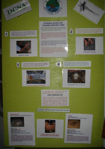 board detailing the project and each turtle Part of