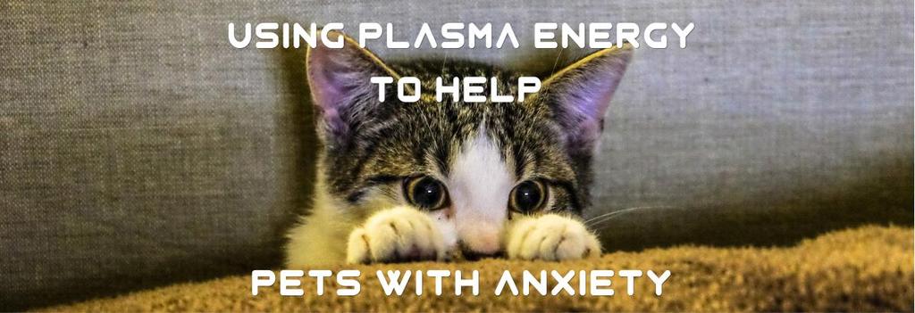 When we are living in times such as Hurricane Harvey and Hurricane Irma that cause anxiety in ourselves what happens with our pets?