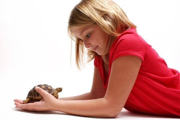 Best Pet Reptiles For Children BY RUSS CASE 82 GINA CIOLI/I5 STUDIO Can I get a dog? Or a hamster? Or a boa constrictor?