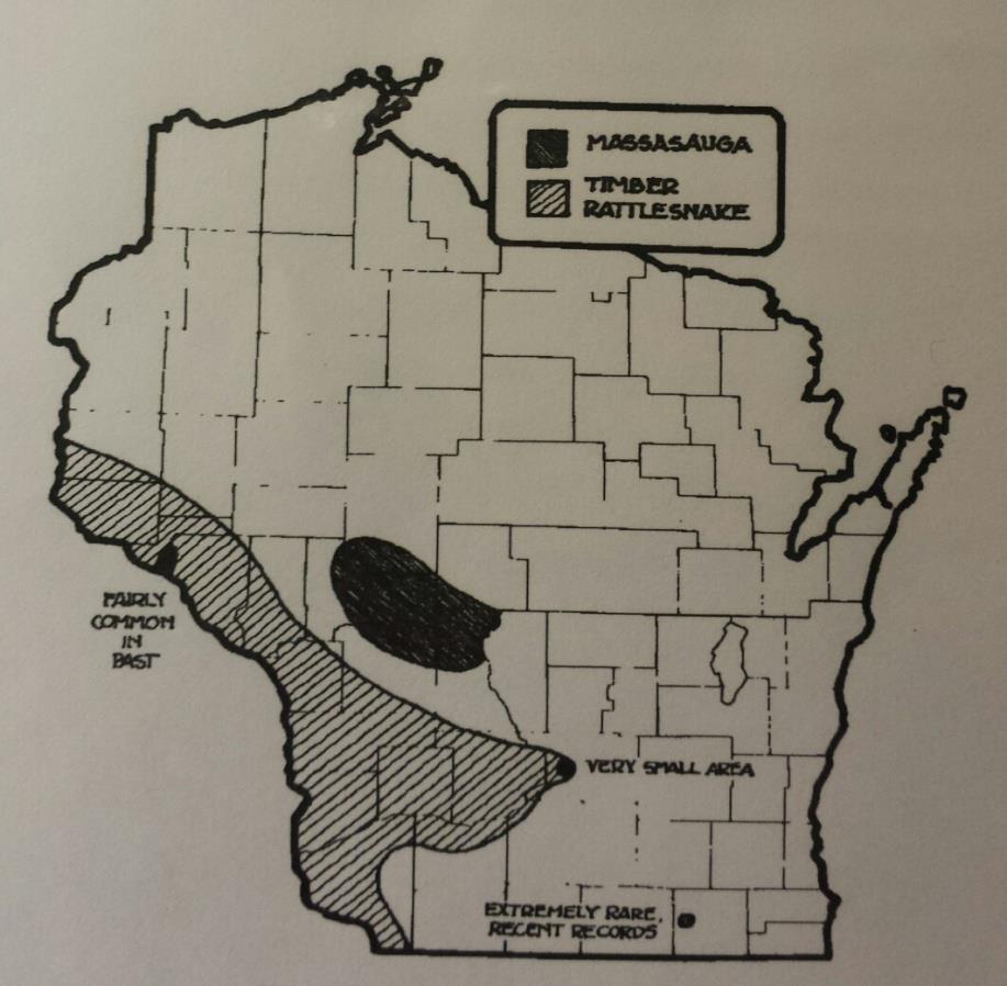 Wisconsin Snake Facts Venomous Snakes All of Wisconsin's venomous snakes are native to the South-western portion of the state near rivers
