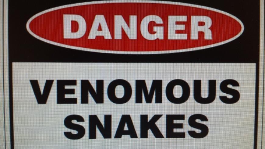 Identification The following snakes are protected Endangered Snakes Eastern Massasauga Rattlesnake(1975) Eastern + Western Ribbon Snake Queen Snake Special Concern Snakes Timber