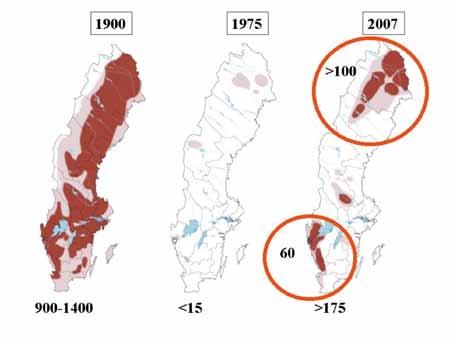 Conservation. The declining population became separated into two subpopulations, N and S Sweden with no gene-flow between each other (Fig. 2). The southern population was more or less inbred.