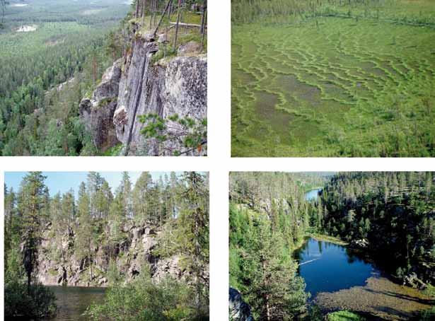Figure 4. Some typical breeding-sites for Peregrines in the province of Norrbotten, N Sweden.