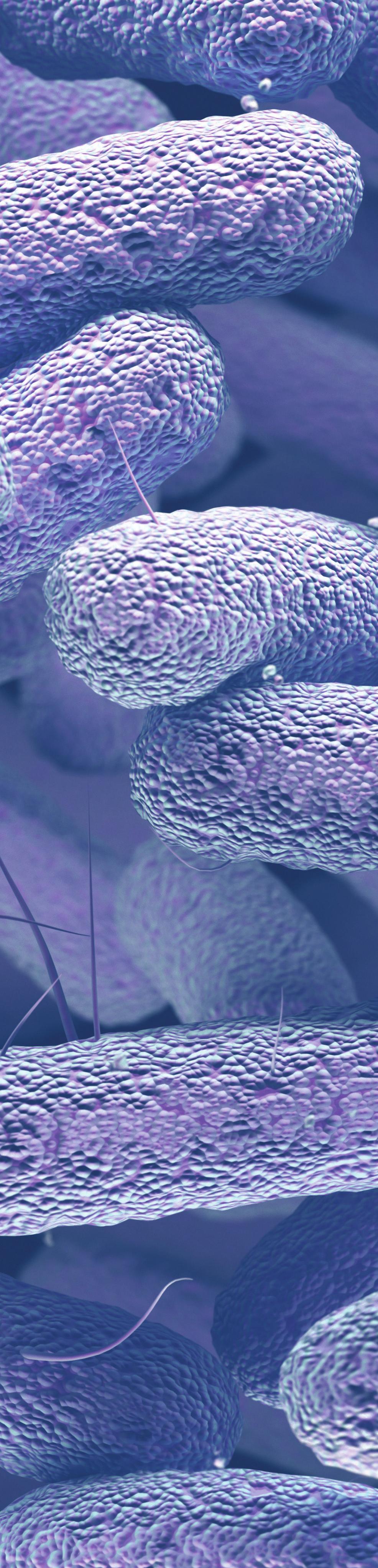 Facing a growing enemy with a largely depleted army We lack new drugs to challenge superbugs.